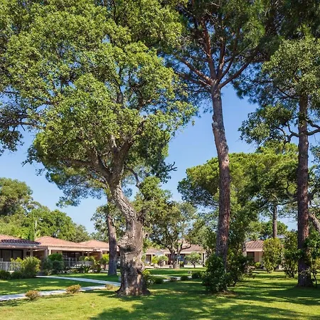 Don Cesar מלון פורטו-וישיו