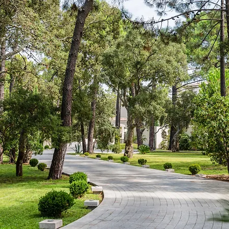 Don Cesar 5* פורטו-וישיו